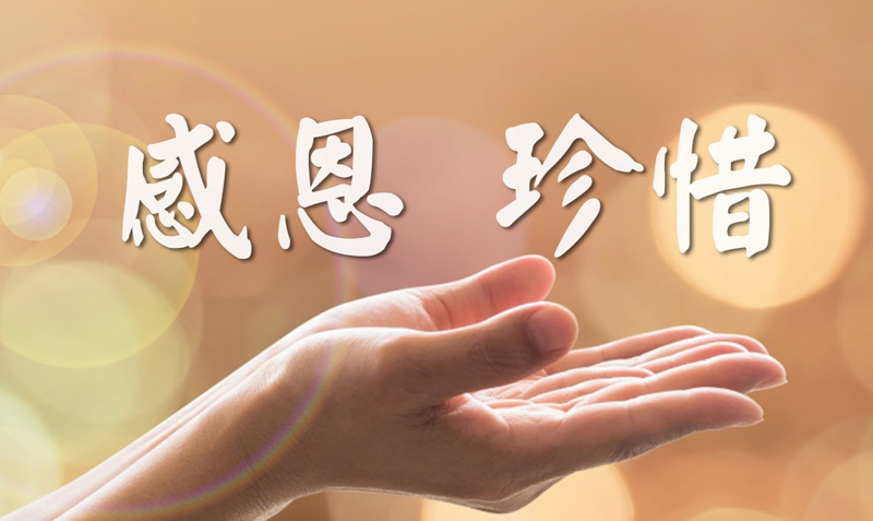 心怀感恩之心，懂得珍惜当下