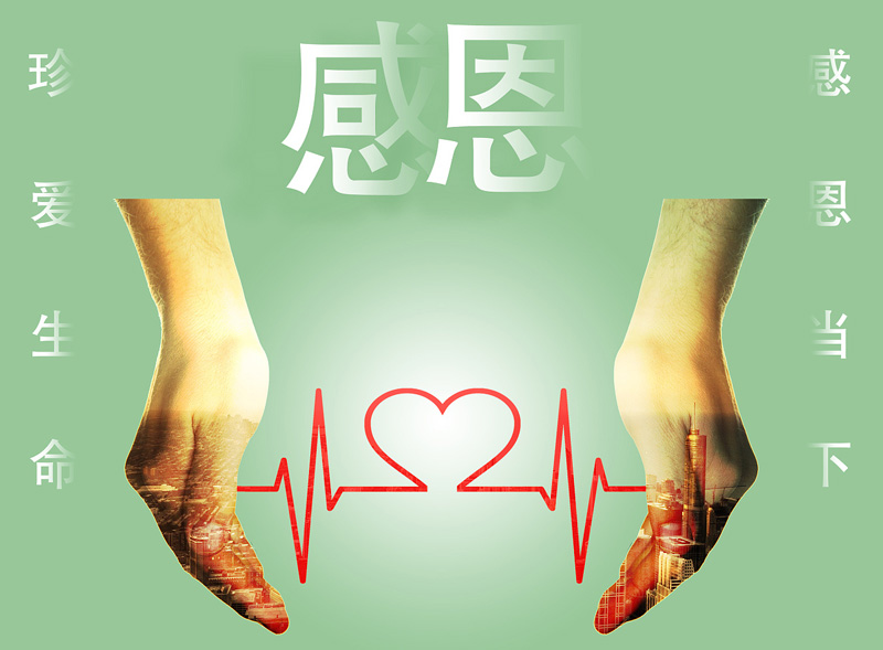 珍爱生命，感恩当下