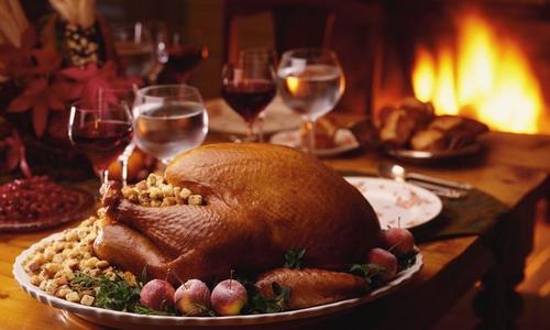 好大的一只火鸡