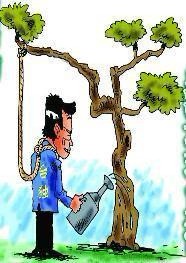 希望树快快长高，好把自己吊死