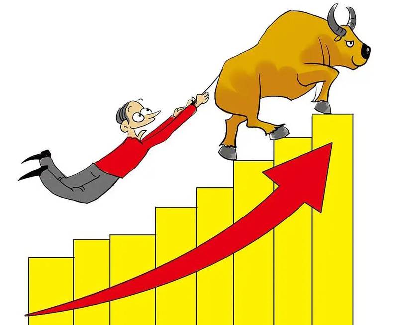 牛市等等我，快拉我一把吧