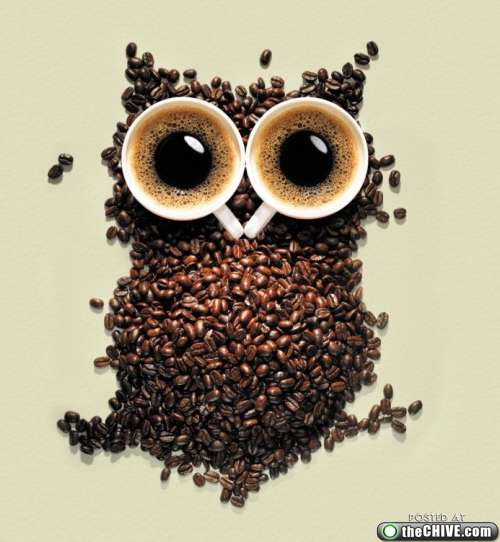 像猫头鹰的咖啡