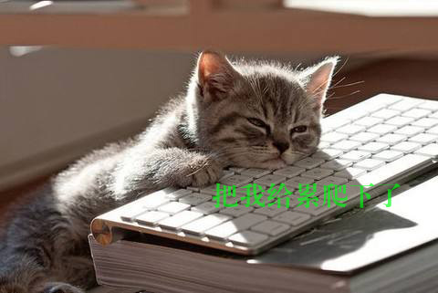 把我给累爬下了