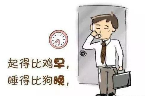 上班族的生活：起得比鸡早，睡得比狗晚