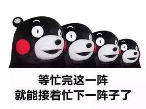 等忙完这阵子，又要忙下一阵子了