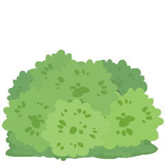 躲起来，暗中观察