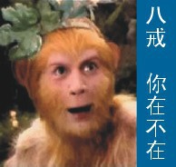 八戒，你在不在呀