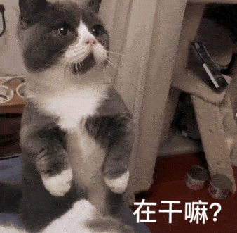 你说你在干嘛？怎么老是不讲话呢