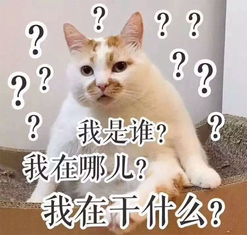 我在干什么？我在哪里