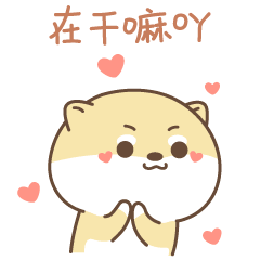 喂喂喂，你在干嘛呀