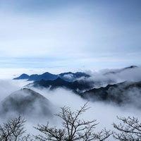 好看的大自然风景头像 春天花草大自然风景头像_微信头像图片大全