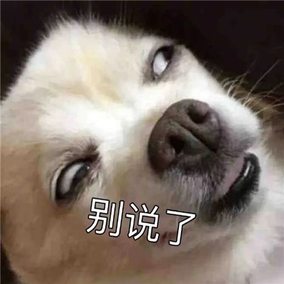 能一秒把人逗笑的表情 逗人开心的表情合集