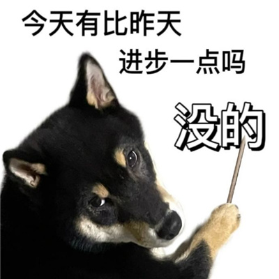 能一秒把人逗笑的表情 逗人开心的表情合集