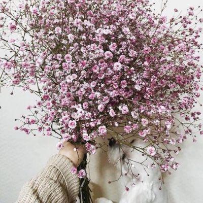 2017七夕专版浪漫花束微信头像 七夕专用头像唯美花束图片-腾牛个性网