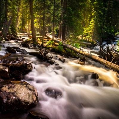 大自然风景微信头像 森林小溪山间流水图片-唯美头像