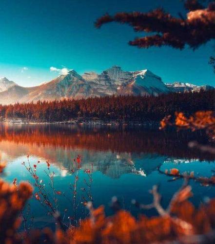 中老年头像大全:吉利唯美微信头像,风景如画的自然风景-搜狐大视野-搜