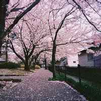 微信头像自然风景_微信头像图片大全