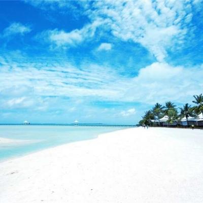 长辈头像大全唯美风景 爸爸妈妈的微信头像海边美景-腾牛个性网