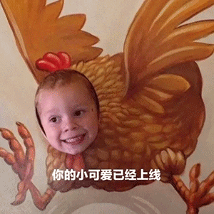 你的小可爱已上线