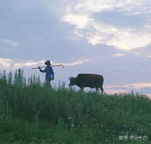 求推荐微信头像和背景图,阳光缤纷简单有个性有意义的,谢谢,最好能用