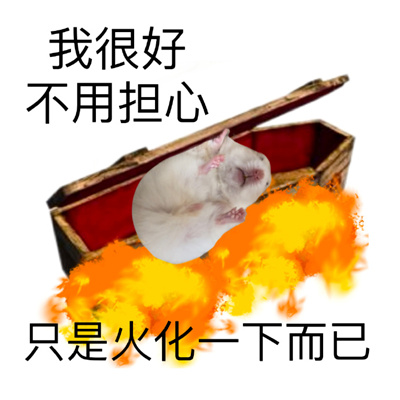 超萌的欢乐表情群聊必备 被生活玩弄于股掌之间