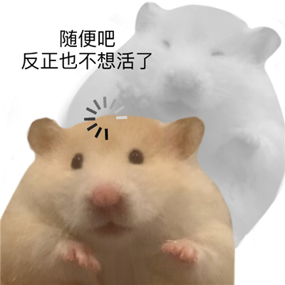 超萌的欢乐表情群聊必备 被生活玩弄于股掌之间