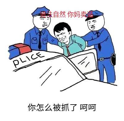 你怎么被抓了，呵呵