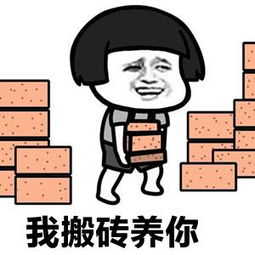 我搬砖养你