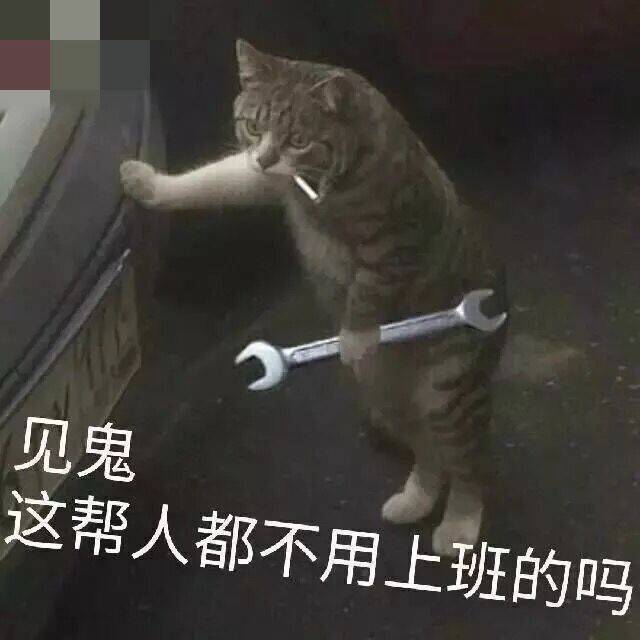 见鬼这帮人，都不用上班的吗