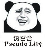 伪百台Pseudo Lily