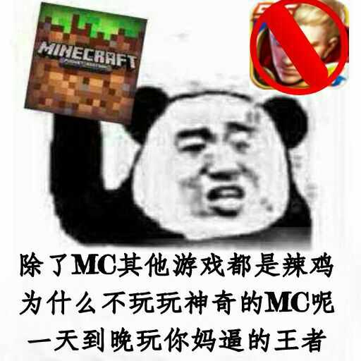 除了MC其他游戏都是辣鸡，为什么不玩玩神奇的MC呢，一天到晚玩你妈逼的王者