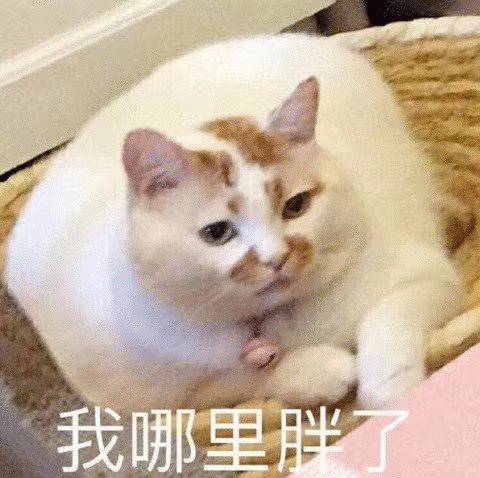 我哪里胖了