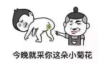 今晚就采你这朵小菊花！