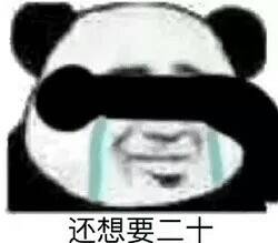 还想要二十