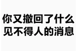 你又撤回了什么见不得人的消息