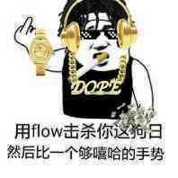 用flow击杀你这狗日，然后比一个够嘻哈的手势