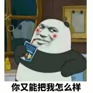 你又能把我怎么样