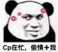 cp在忙，偷情+我