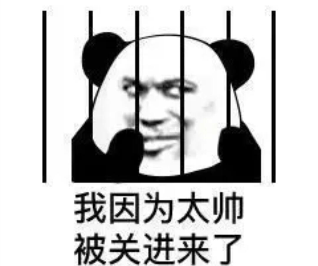 我因为太帅被关进来了