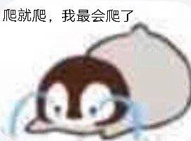 爬就爬，我最会爬了