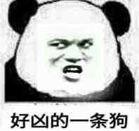 好凶的一条狗