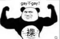 gay不gay？