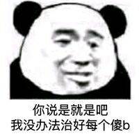 你说是就是吧，我没办法治好每个傻b