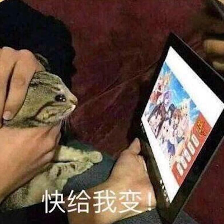 快给我变