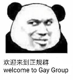 欢迎来到正规群，welcome to gay group