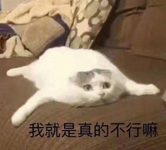 我就是真的不行嘛