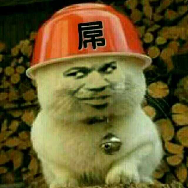 屌（教皇小猫）