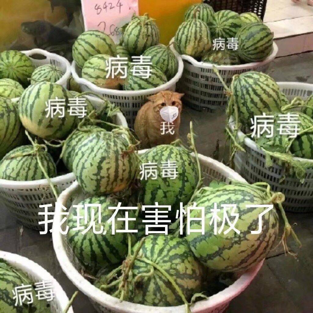 我害怕极了