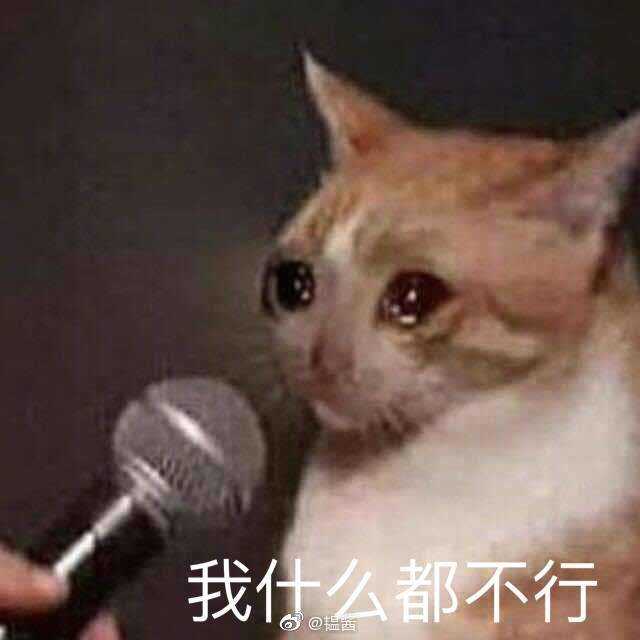 我什么都不行