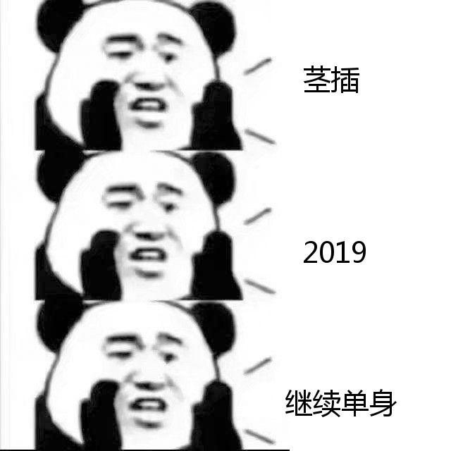 茎插，2019继续单身